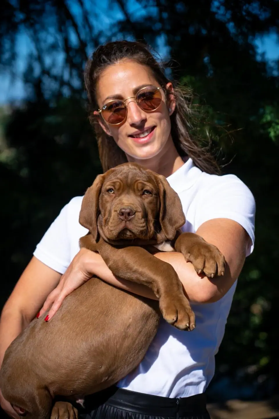 Mulher com um cachorro Boerboel chocolate ao colo, ao ar livre